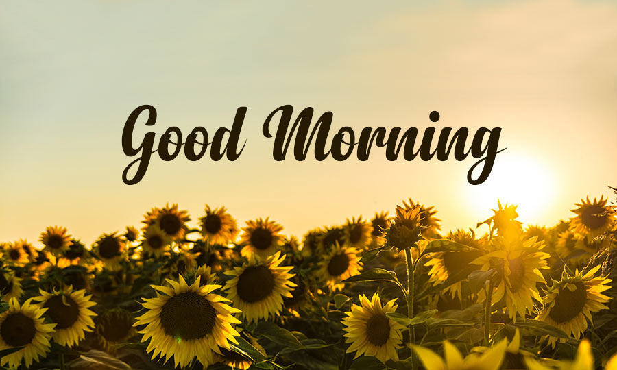 good morning images download hd