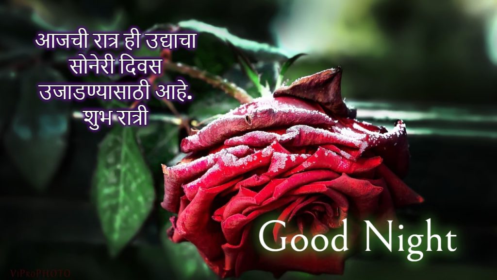 love good night images in marathi